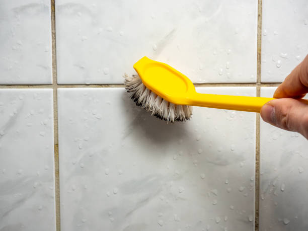 Best Best Mold Removal Companies  in Ensley, FL