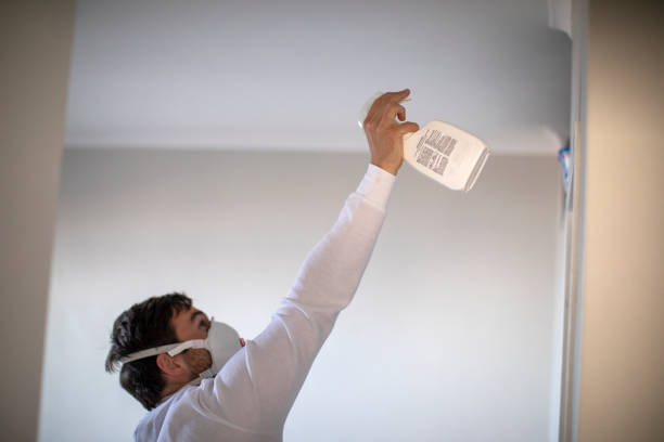 Best Mold Damage Repair  in Ensley, FL