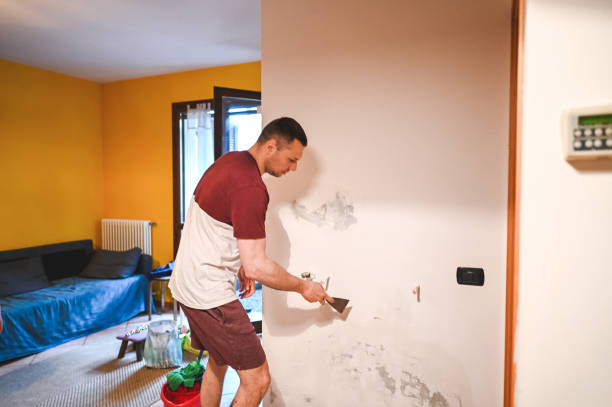 Best Black Mold Removal  in Ensley, FL